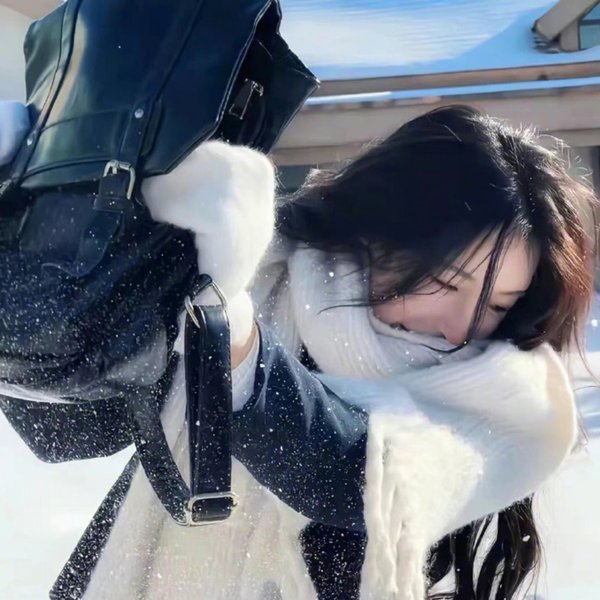 梦醒美国